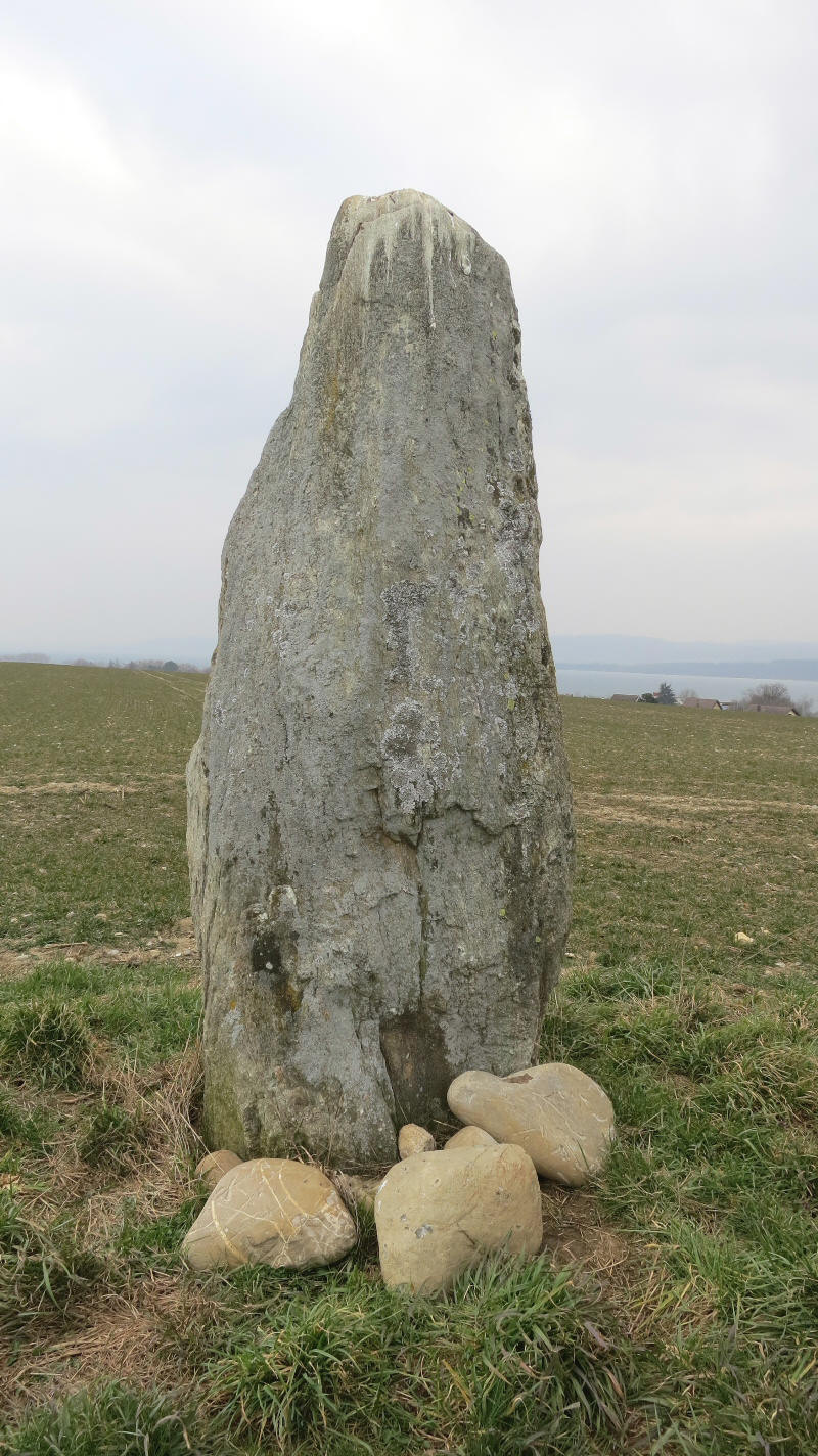 Le Menhir de Grandson, mégalithe sur la commune de Grandson dans le